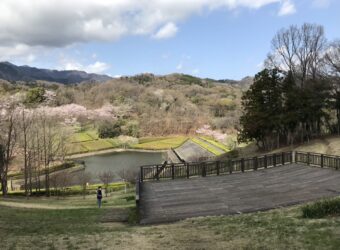 つつじの丘公園?