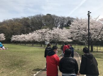 桜の中のウォーキング?‍♀️?