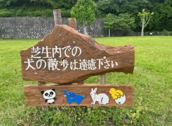お久しぶりです