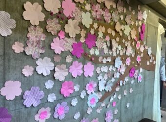 春が来ました🌸