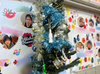 ツリーを出しました🎄