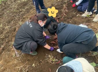 芋掘りイベント🍠